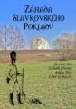 Z�hada slavkovsk�ho pokladu